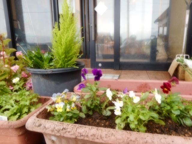 花植え（グループホーム堀田の家）