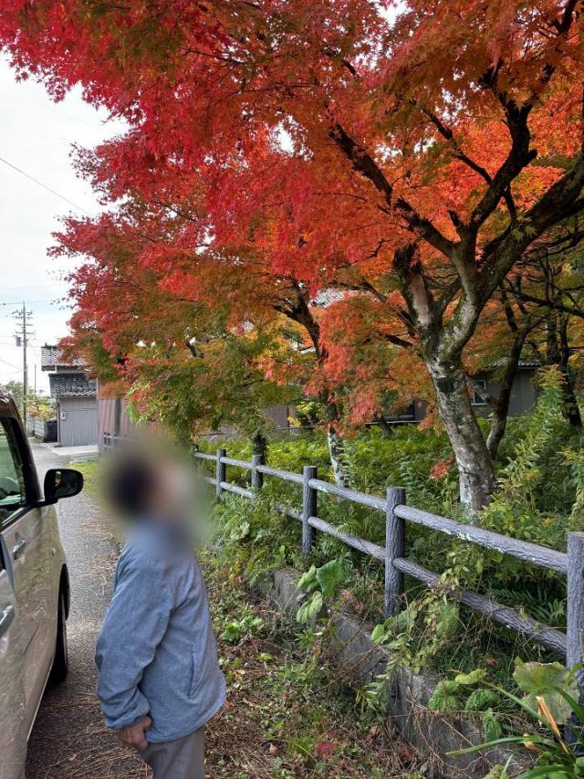 紅葉ドライブ（グループホーム堀田の家）
